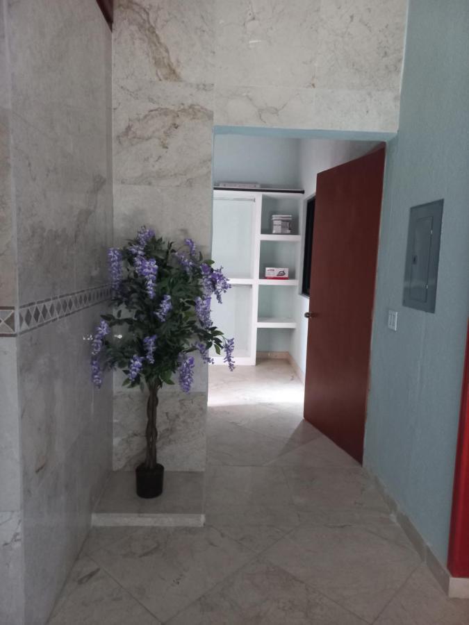 Departamento Tayde Appartement San José del Cabo Buitenkant foto
